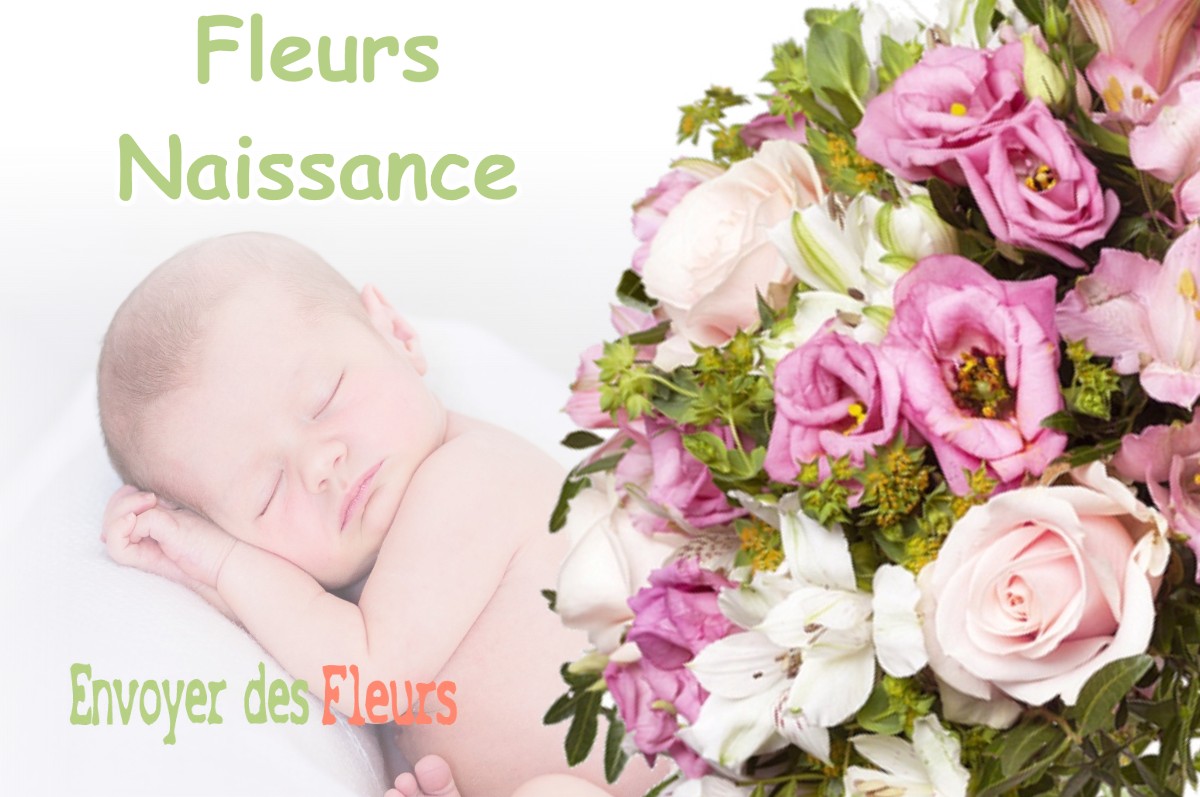 lIVRAISON FLEURS NAISSANCE à CARELLES